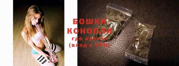 прущие грибы Вязьма