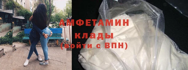 твердый Вяземский
