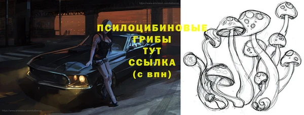 прущие крисы Вязники