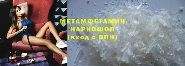 прущие грибы Вязьма