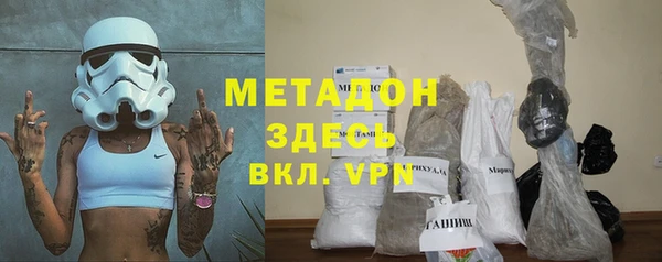 прущие грибы Вязьма