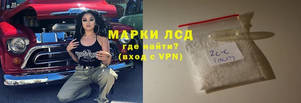 прущие грибы Вязьма