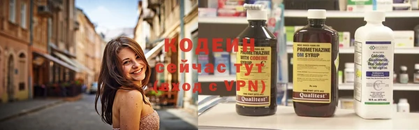 твердый Вяземский