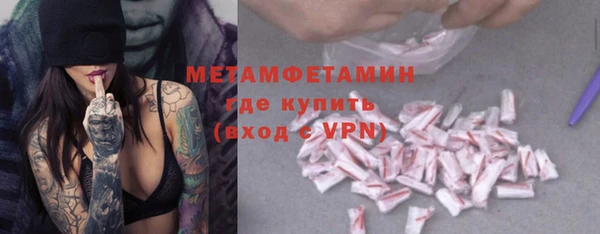 прущие грибы Вязьма