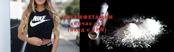 твердый Вяземский