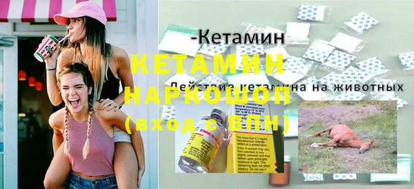 прущие грибы Вязьма