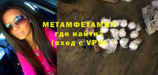 прущие грибы Вязьма