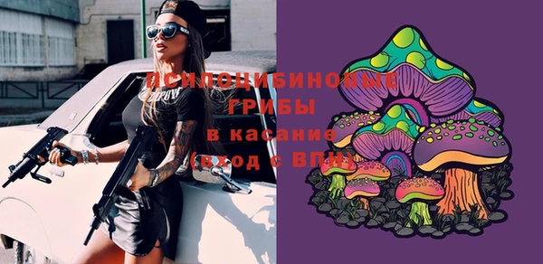 прущие грибы Вязьма