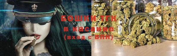 твердый Вяземский