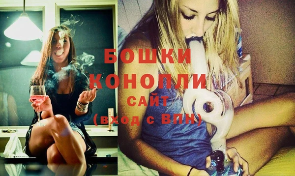 прущие грибы Вязьма