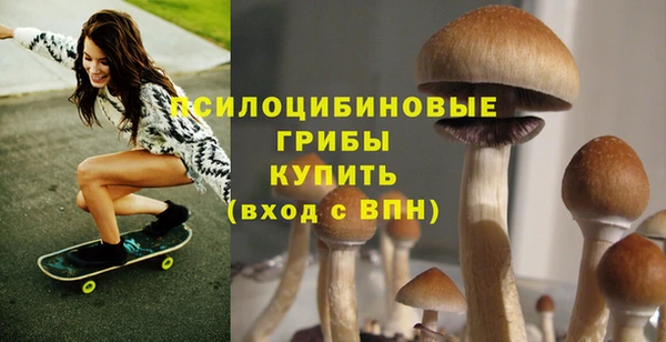 твердый Вяземский