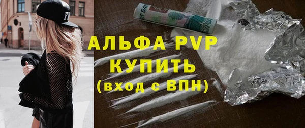 прущие грибы Вязьма