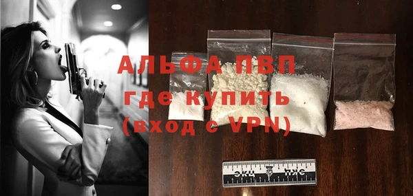 твердый Вяземский