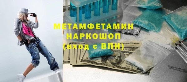 прущие грибы Вязьма